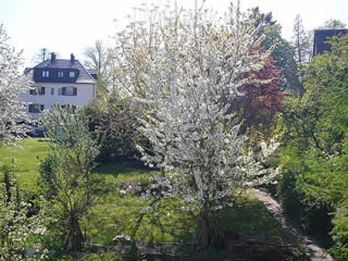 Garten Ferienwohnung